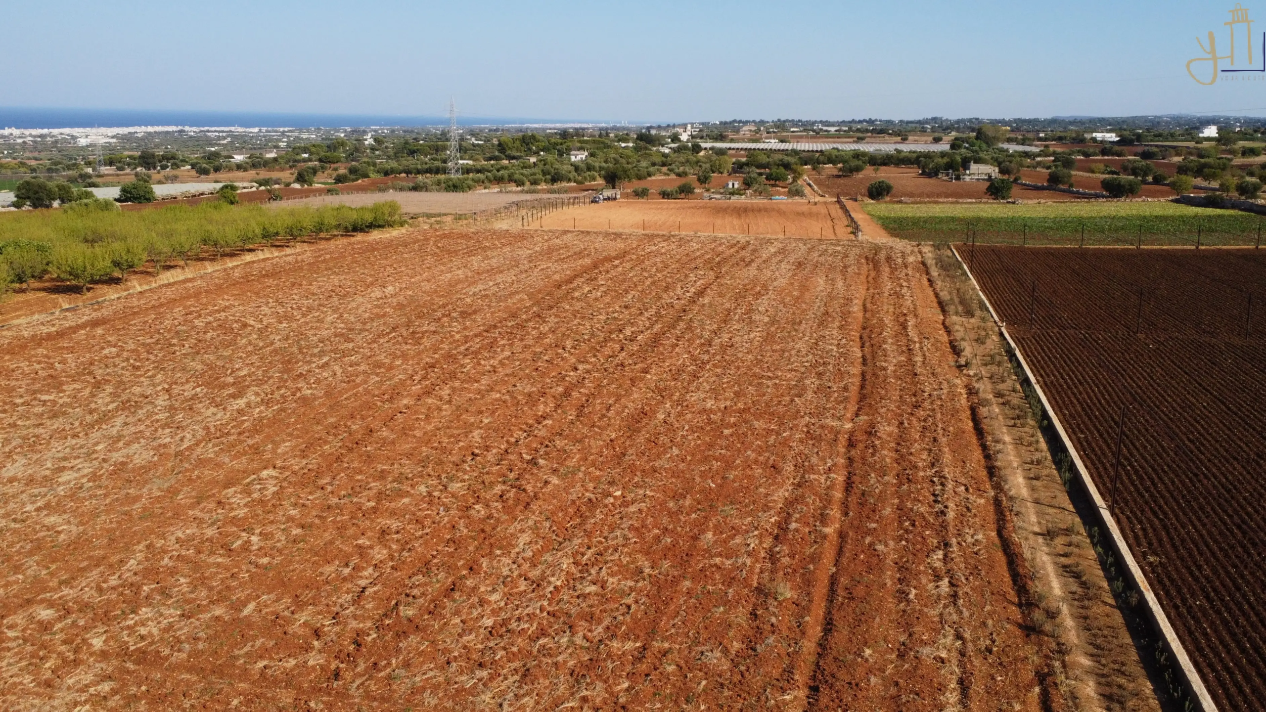 LOGO10